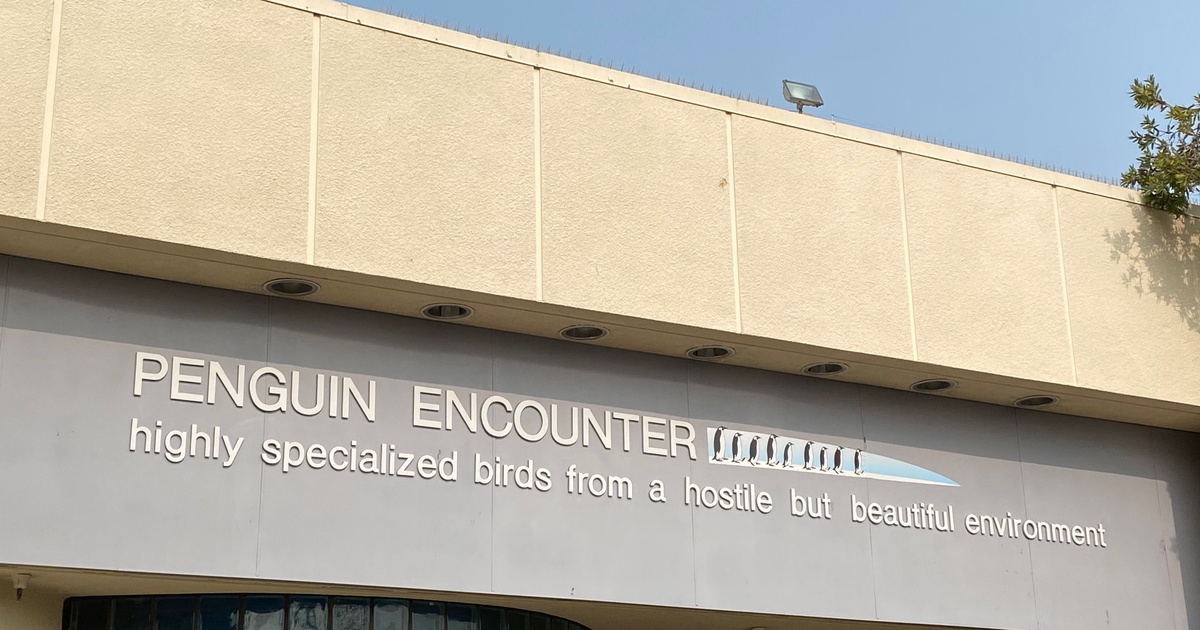 Penguin Encounter @ SeaWorld San Diego | Open Coaster