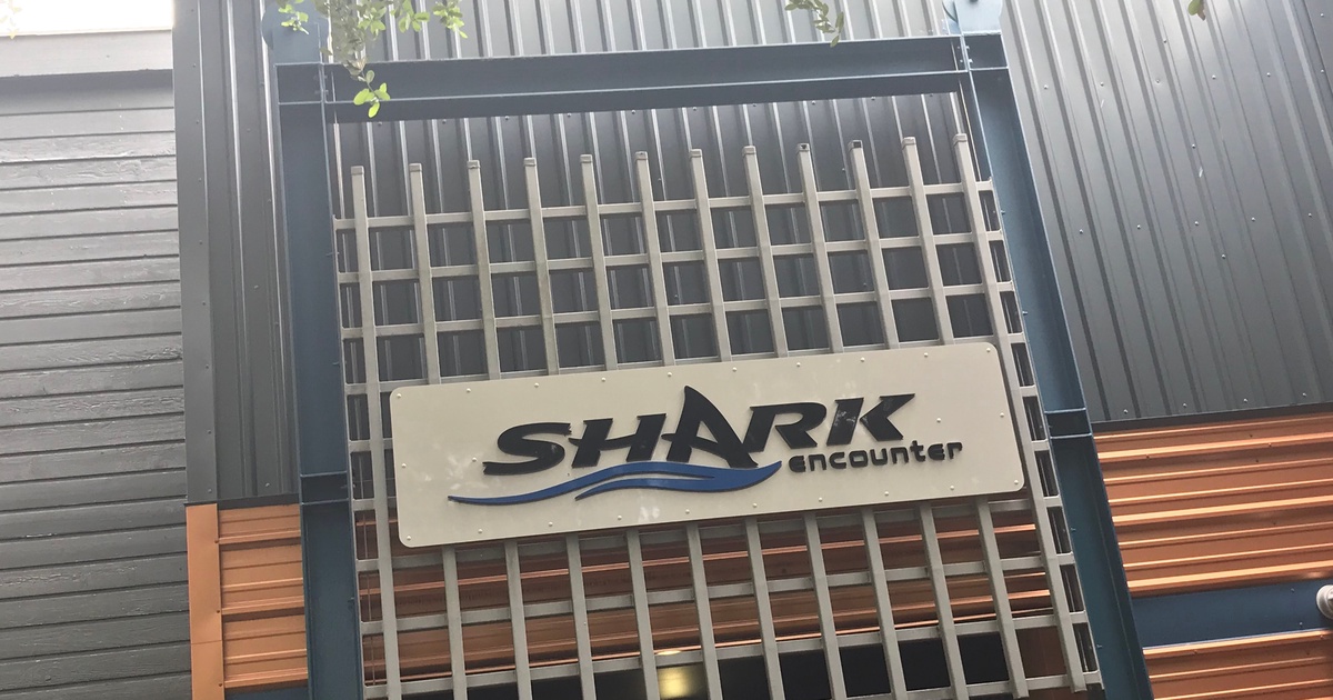 Shark Encounter @ SeaWorld Orlando | Open Coaster