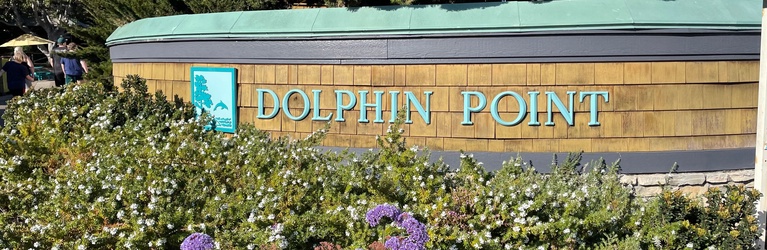 Dolphin Point