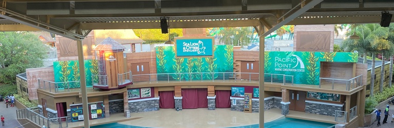 Sea Lion and Otter Spotlight