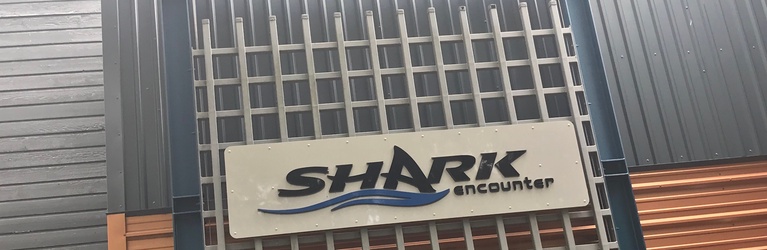 Shark Encounter